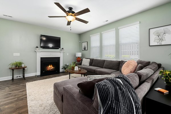 Élimination efficace des cafards à paris : conseils essentiels